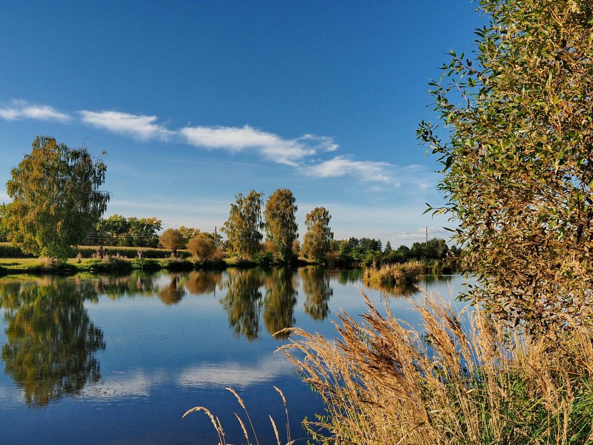 2021 10 07 du blechbudenteich 2