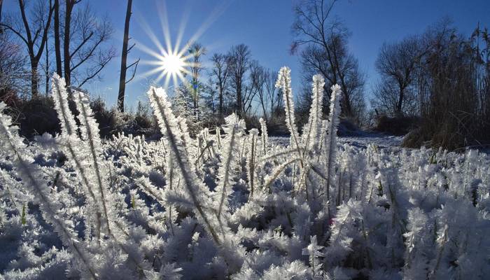 2021 12 26 du winterlandschaft 2