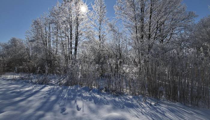 2021 02 14 du winterlandschaft 1